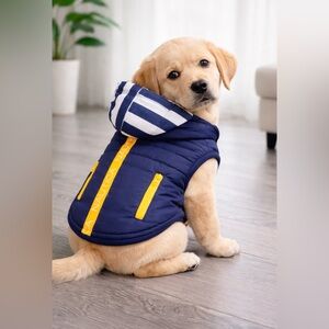 Nautica Navy and Yellow Dog Jacket with Striped Hood